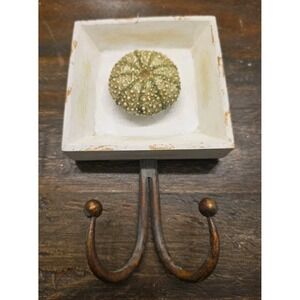 Coastal Accents Sea Urchin Shadow Box Wall Hook Wood Distressed Beach Decor
